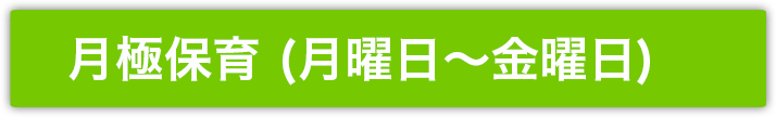 おうち保育室hissipatch-ひっしぱっち-月極保育(月〜金)